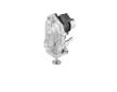 AGR-Ventil BorgWarner 710980D
