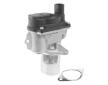 AGR-Ventil BorgWarner 710981D