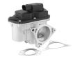 AGR - Ventil BorgWarner 711080D