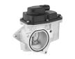 AGR - Ventil BorgWarner 711080D