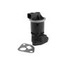 AGR - Ventil BorgWarner 712061D