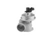 AGR - Ventil BorgWarner 712064D