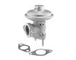 AGR - Ventil BorgWarner 712065D