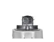 AGR-Ventil BorgWarner 712072D