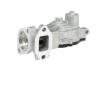AGR - Ventil BorgWarner 712074D