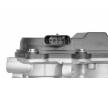 AGR-Ventil BorgWarner 729003D