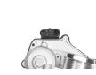 AGR - Ventil BorgWarner 729004D