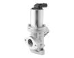 AGR - Ventil BorgWarner 729019D