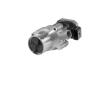 AGR-Ventil BorgWarner 7610D