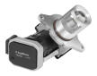 AGR-Ventil BorgWarner 7625D