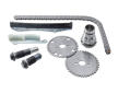 Sada rozvodového řetězu BorgWarner 59007150002