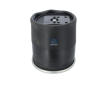 Mech, pneumaticke odpruzeni DT Spare Parts 10.16056