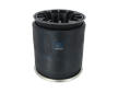 Mech, pneumaticke odpruzeni DT Spare Parts 10.36004