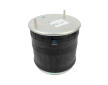 Mech, pneumaticke odpruzeni DT Spare Parts 10.36017