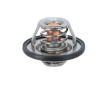 Termostat, chladivo DT Spare Parts 12.18025