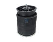 Mech, pneumaticke odpruzeni DT Spare Parts 13.00193