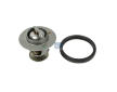 Termostat, chladivo DT Spare Parts 13.42078