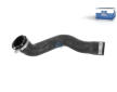 Hadice chladiče DT Spare Parts 1.11689