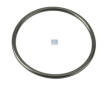 Tesnici krouzek DT Spare Parts 1.17100