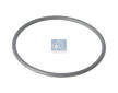 Těsnicí kroužek DT Spare Parts 1.24315