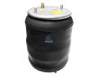 Mech, pneumaticke odpruzeni DT Spare Parts 1.25056