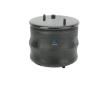 Mech, pneumaticke odpruzeni DT Spare Parts 1.25860