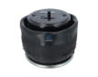 Mech, pneumaticke odpruzeni DT Spare Parts 1.25866