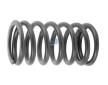 Pružina ventilu DT Spare Parts 2.10026