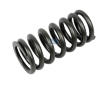 Pružina ventilu DT Spare Parts 2.10276