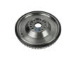 Zotrvačník DT Spare Parts 2.10742