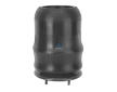 Mech, pneumaticke odpruzeni DT Spare Parts 2.61031