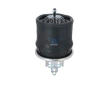 Mech, pneumaticke odpruzeni DT Spare Parts 2.62178