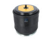 Mech, pneumaticke odpruzeni DT Spare Parts 2.62704