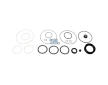 Opravná sada, převodka řízení DT Spare Parts 2.95110SP