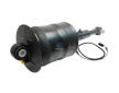 Tlumič pérování DT Spare Parts 3.00267