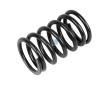 Prużina ventilu DT Spare Parts 3.13022