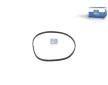 Těsnění, termostat DT Spare Parts 4.00485
