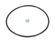 Těsnicí kroužek DT Spare Parts 4.20881
