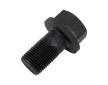 Šroub, stojan ložiska-kliková hřídel DT Spare Parts 4.40103