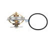 Termostat, chladivo DT Spare Parts 4.64801