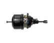Pruzinovy brzdovy valec DT Spare Parts 4.65295