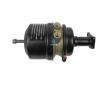 Pruzinovy brzdovy valec DT Spare Parts 4.67635
