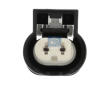 Cidlo, teplota vyfukovych plynu DT Spare Parts 4.69538
