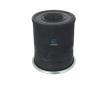 Mech, pneumaticke odpruzeni DT Spare Parts 4.81731SP