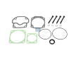 Sada těsnění, ventil DT Spare Parts 4.90491