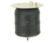 Mech, pneumaticke odpruzeni DT Spare Parts 6.13027