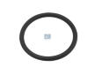 Těsnicí kroužek DT Spare Parts 6.22321