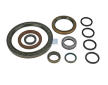 Sada tesnení pre manuálnu prevodovku DT Spare Parts 6.93500