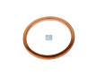Tesnici krouzek, olejova vypousteci zatka DT Spare Parts 9.01055
