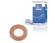 Těsnicí kroužek DT Spare Parts 9.01091